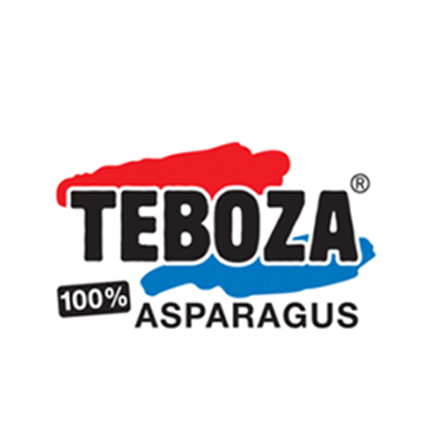 TEBOZA-2